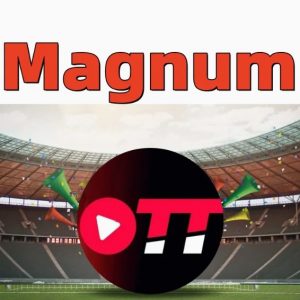 Wholesale IPTV Servers of Strong Tivi One Tivione Trex 4K Ott Cobra Magnum Dino Diamond Crystal Mega Extra Lion Ott Reseller Panel M3u IPTV Subscription