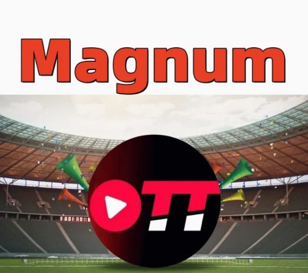 Wholesale IPTV Servers of Strong Tivi One Tivione Trex 4K Ott Cobra Magnum Dino Diamond Crystal Mega Extra Lion Ott Reseller Panel M3u IPTV Subscription